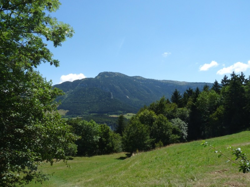 #4 Le Moucherotte : encore un beau sommet faisable depuis Grenoble. Le Moucherotte : encore un beau sommet faisable depuis Grenoble.