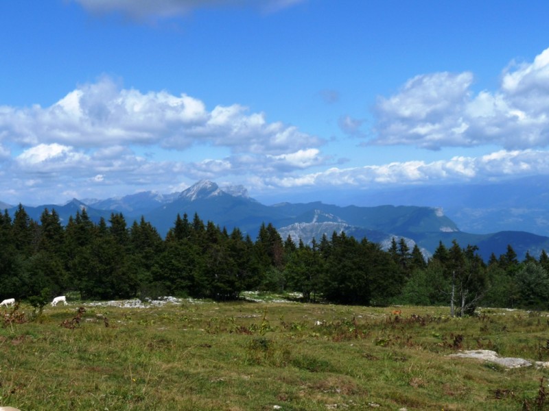#10 La Chartreuse : depuis le plateau. La Chartreuse : depuis le plateau.