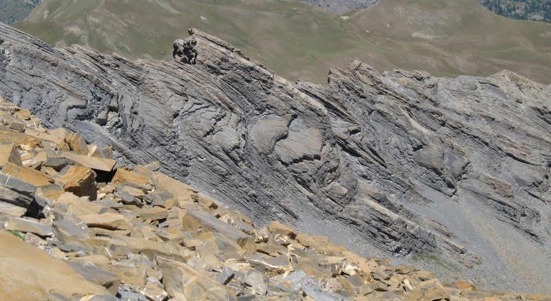 #8 flysch flysch