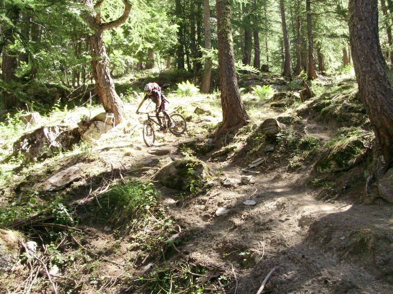 #5 Descente dans la "Pépiniè : ...Et même dans le sous bois ! Descente dans la "Pépiniè : ...Et même dans le sous bois !