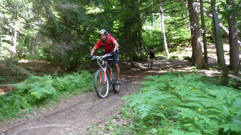 #4 Descente en foret : Sentier de l Descente en foret : Sentier de l'Adret'Naline