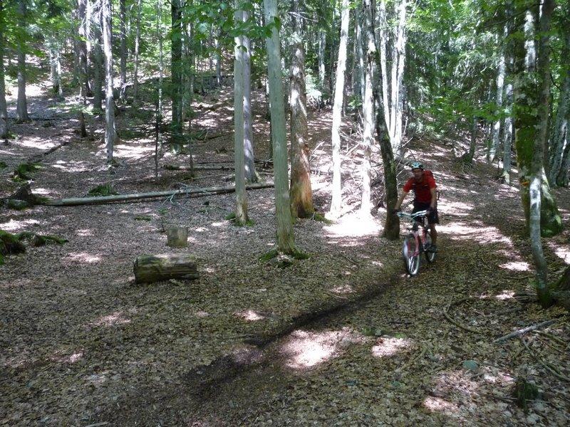 #6 Sentier en foret : Descente de la Dev Sentier en foret : Descente de la Dev'Albertville