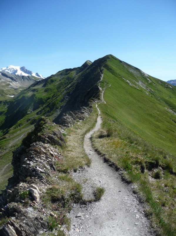 #2 Tête N des Fours : Sur la crête des Gittes, on distingue le refuge au loin à G, Aiguilles des Glaciers et Mt Blanc ! Tête N des Fours : Sur la crête des Gittes, on distingue le refuge au loin à G, Aiguilles des Glaciers et Mt Blanc !