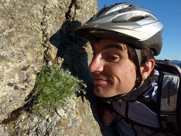 #11 le génépi du col ! : Hummmm, ça sent bon ! le génépi du col ! : Hummmm, ça sent bon !