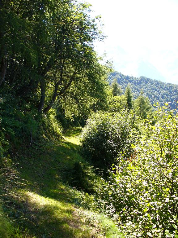 GR Descente : ... gazon maudit aujourd'hui ...