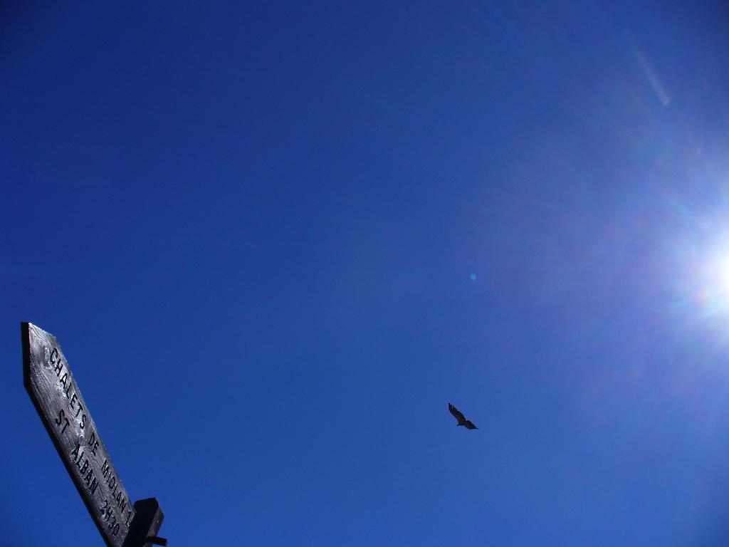 #12 Rapaces Rapaces