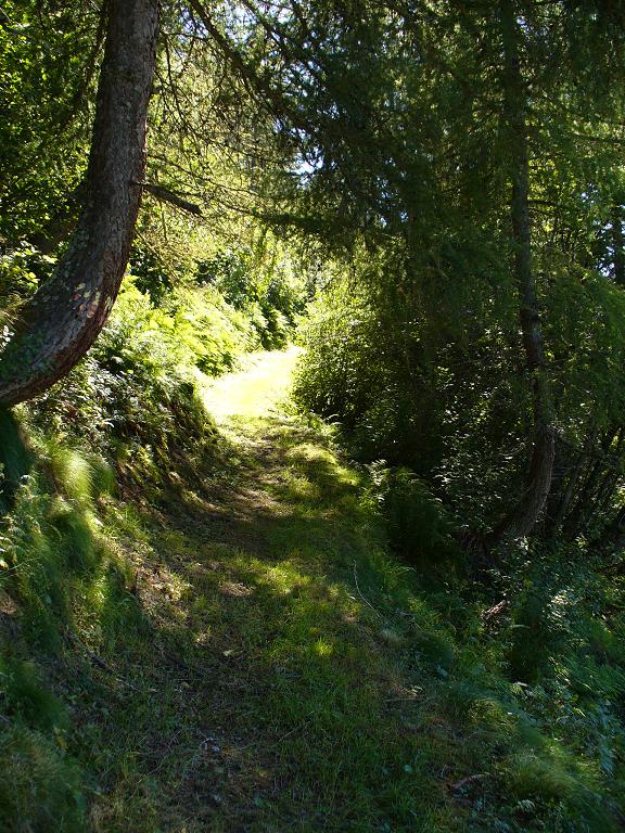 GR Descente : ... un tapis vert ...