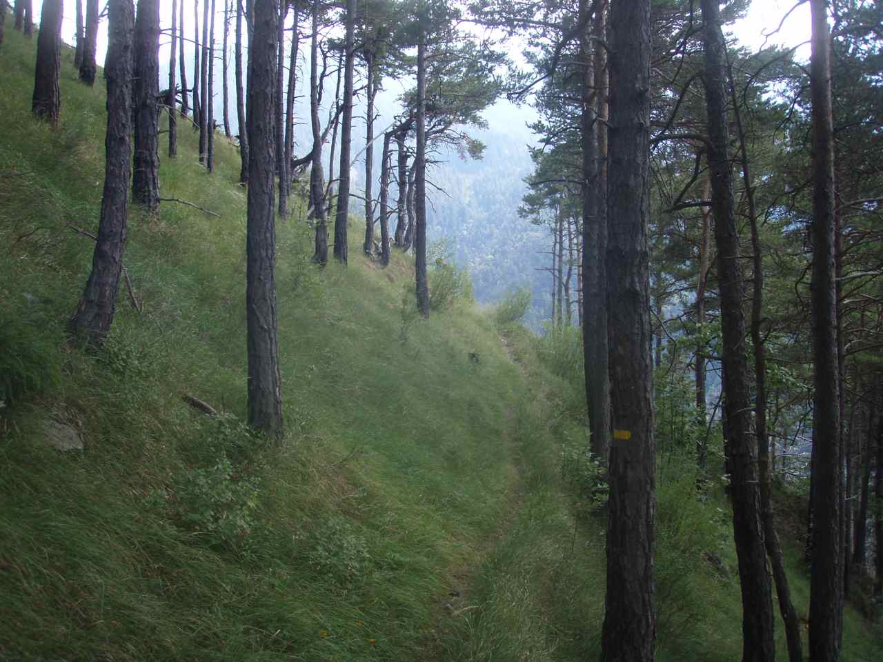 #27 Roulant dans ce secteur... Roulant dans ce secteur...