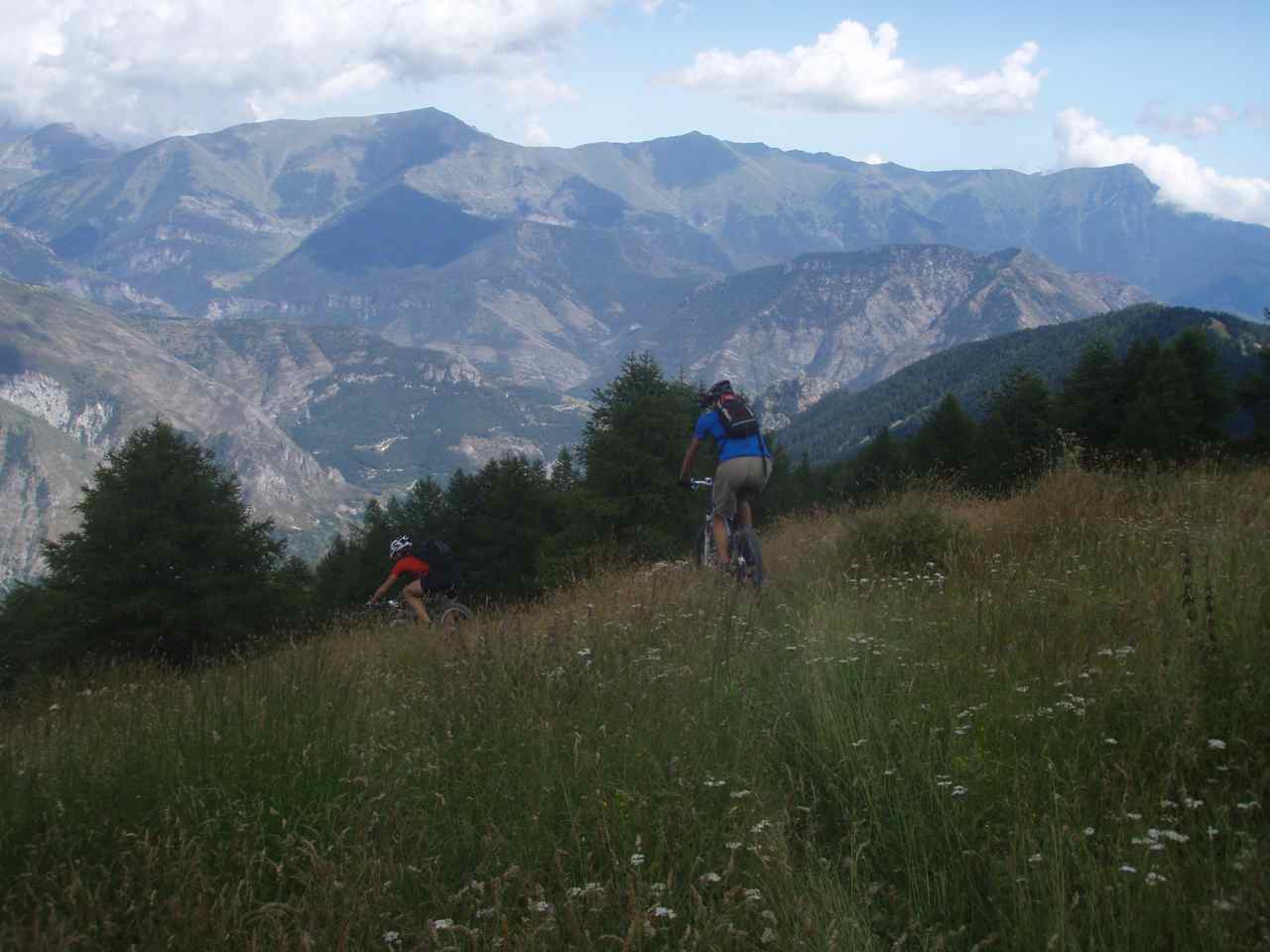#20 Départ de la descente vers Viévola depuis la baisse d Départ de la descente vers Viévola depuis la baisse d'Ourne : grandes herbes et paumatoire...