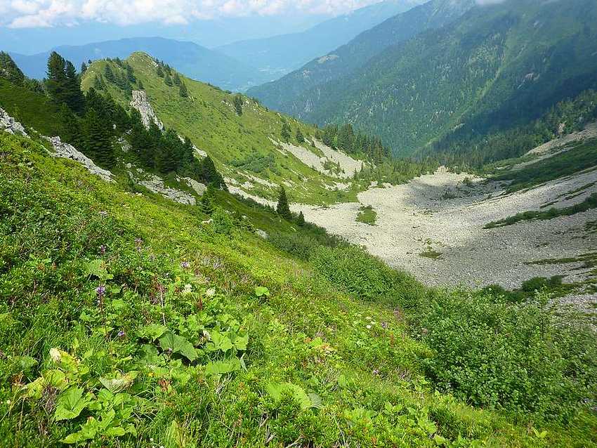 Combe du Dréron : plutôt jolie