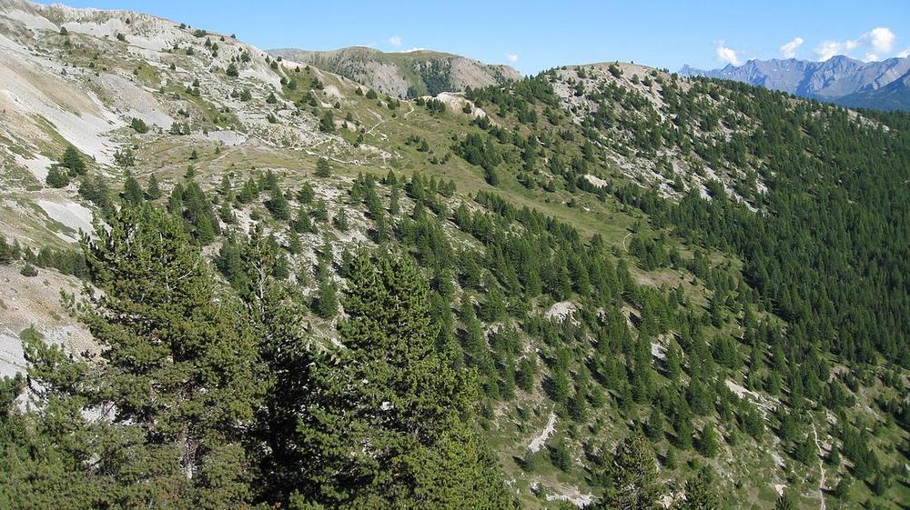 Col du Tronchet : et sentier descendant sur Brunissard bien visible