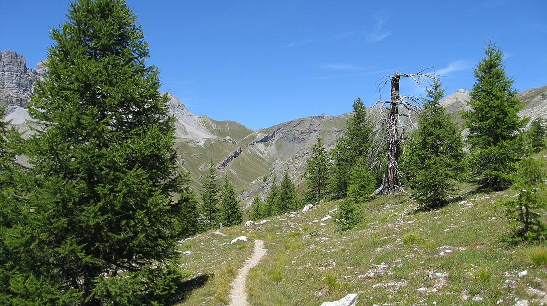 #11 Canal de la Crêche : et col de Péas tout au fond Canal de la Crêche : et col de Péas tout au fond