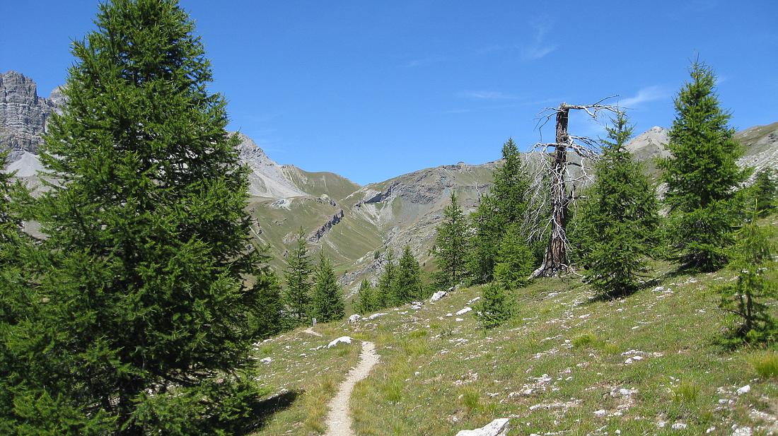 Canal de la Crêche : et col de Péas tout au fond