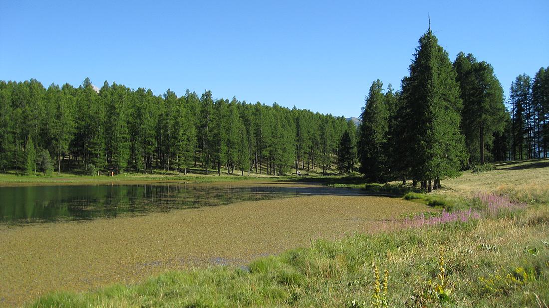 Retour au lac de Roue