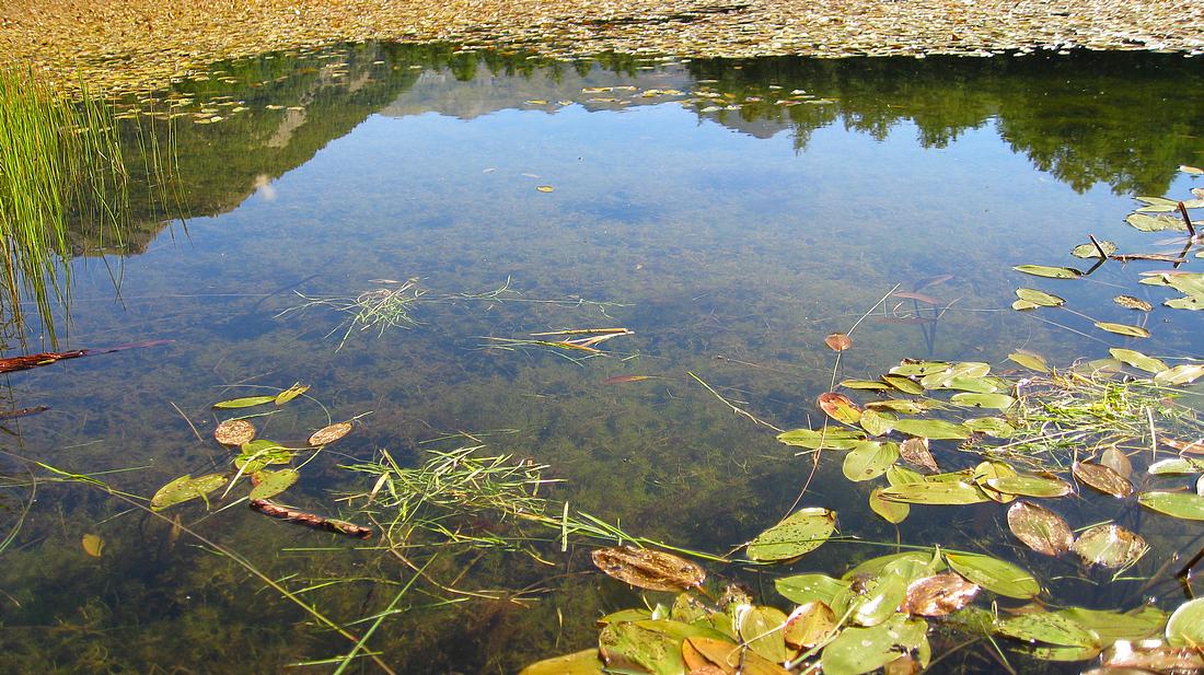 Pureté - Lac de Roue : Bel effet miroir