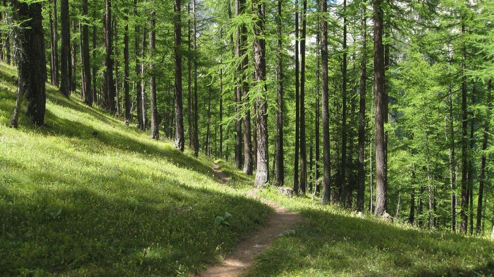 #13 Montée verte : à la crête de l Montée verte : à la crête de l'Echelle