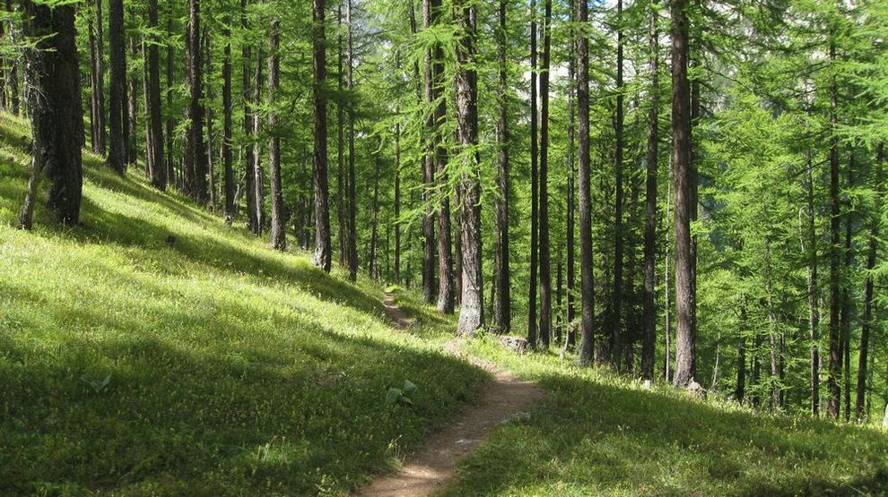 Montée verte : à la crête de l'Echelle