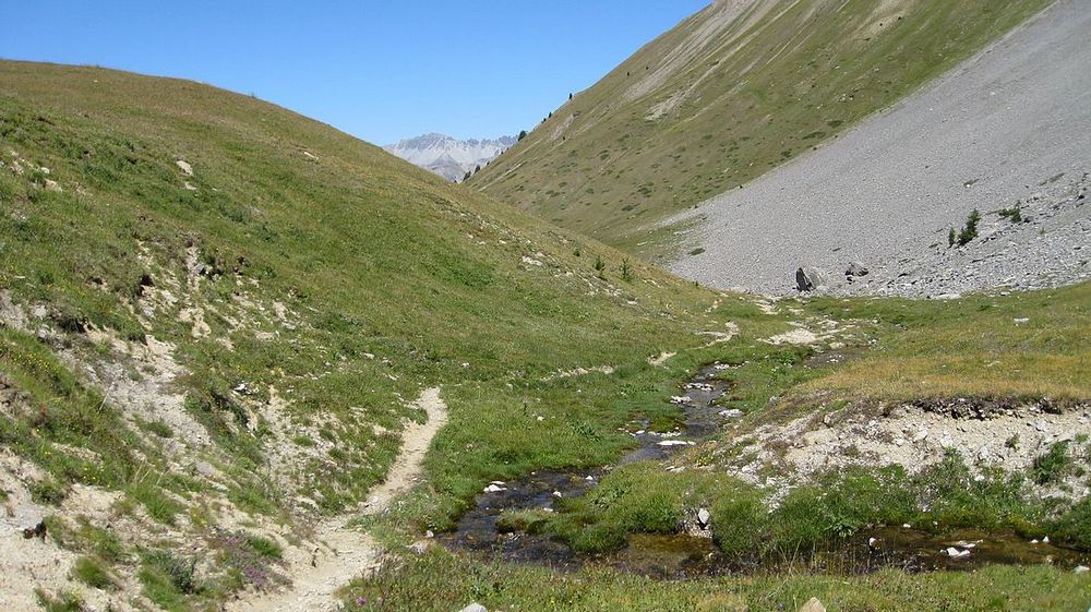 Torrent du Vallon : Où l'on retrouve le sentier