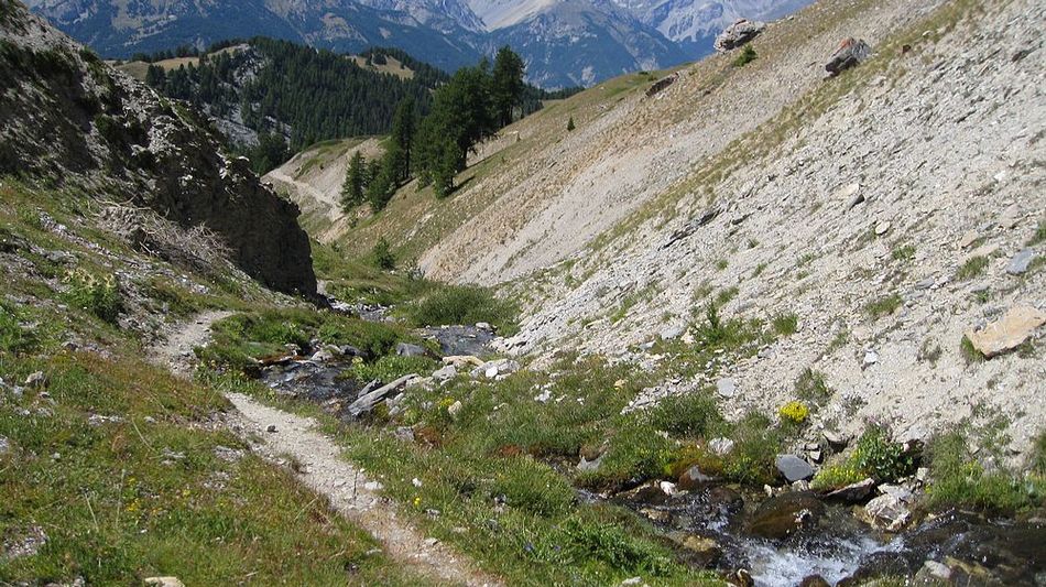 #16 Le long du Torrent du vallon : Arrivé sur la piste en bas, partir à gauche dans l Le long du Torrent du vallon : Arrivé sur la piste en bas, partir à gauche dans l'alpage