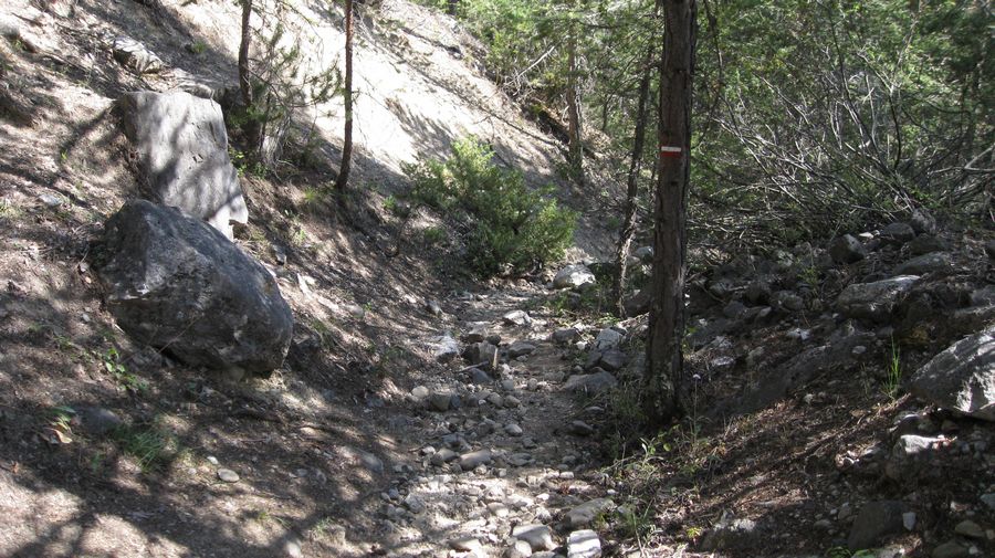 #19 Le sentier tout moisi : qui descend sur Montbardon Le sentier tout moisi : qui descend sur Montbardon