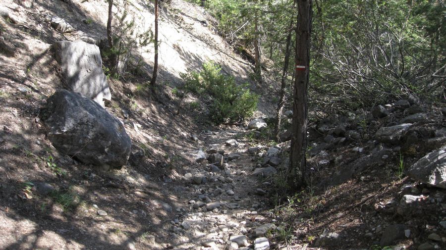 Le sentier tout moisi : qui descend sur Montbardon