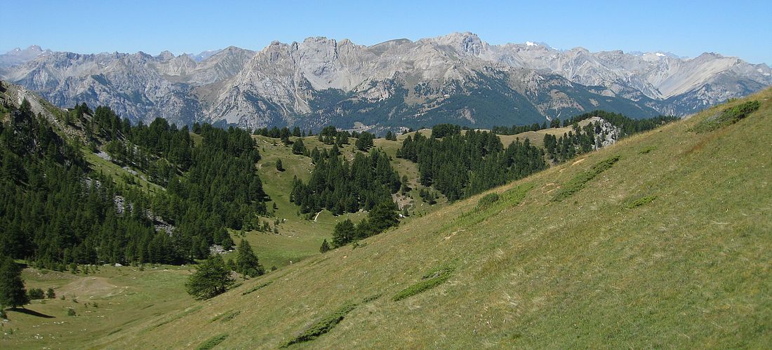 "Lousselar" : L'alpage de montée pour rejoindre le vallon