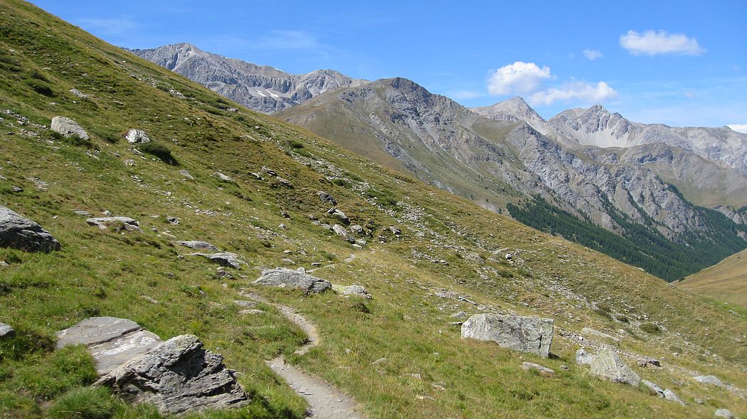 #4 Bonnes sections roulantes : dans la montée Bonnes sections roulantes : dans la montée