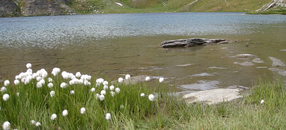 Lac de Malrif : Repos