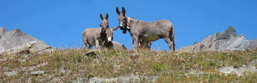 Trio : on n'est pas seul !