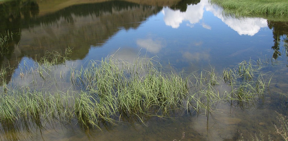 #4 Reflets Reflets