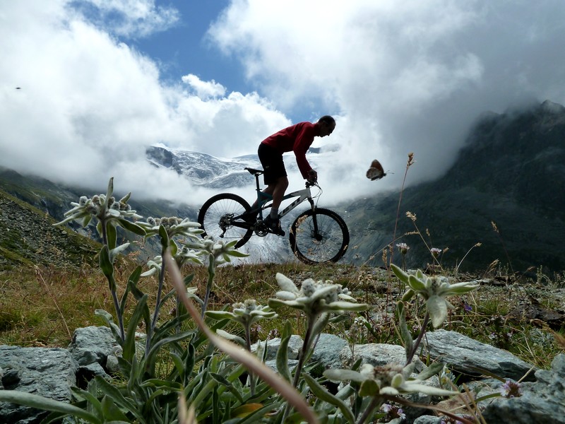 #7 action : paysage y action : paysage y'a tout la