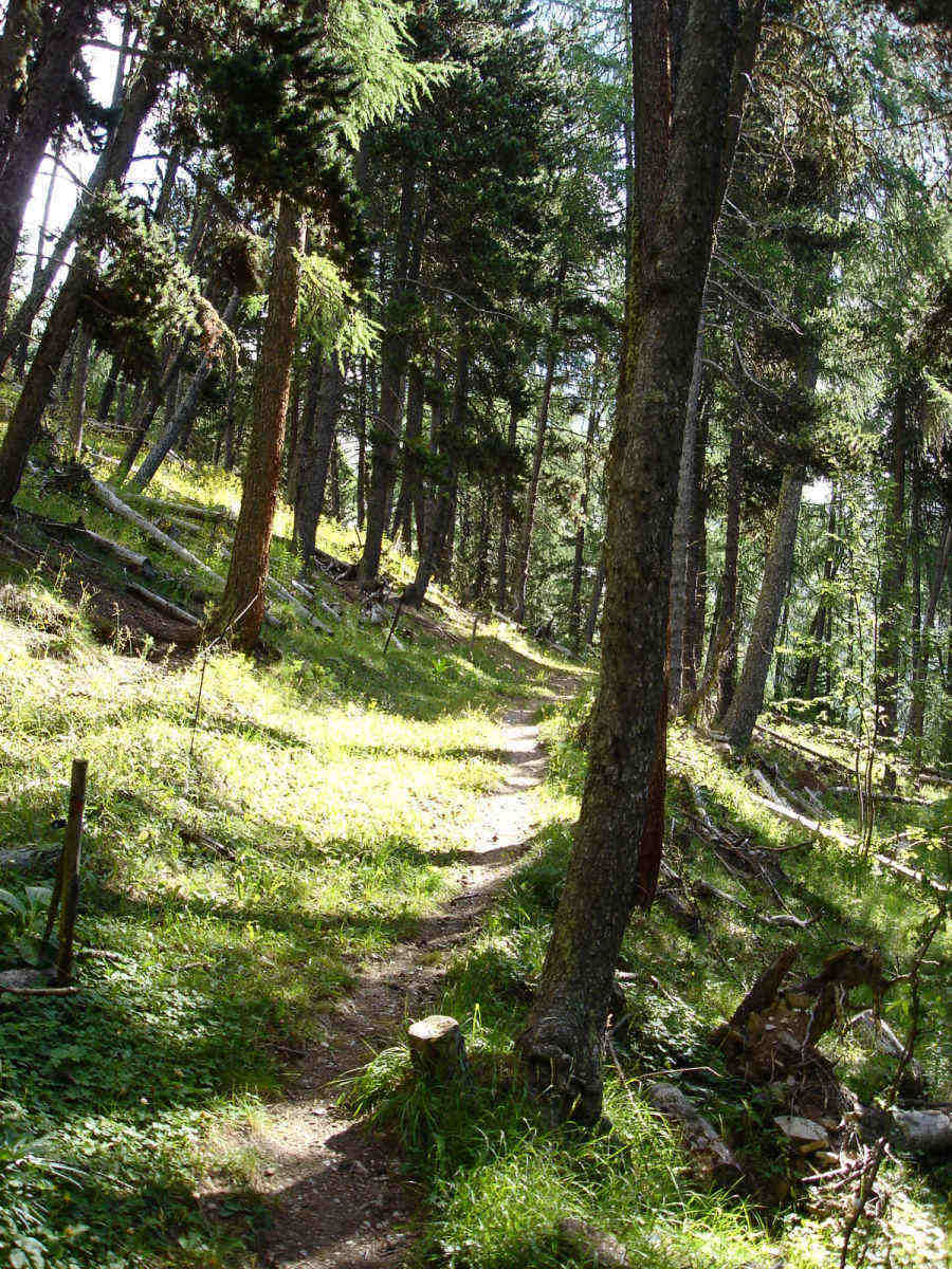 #10 Sentier : Entre cabane Neuve et le refuge de la Pare Sentier : Entre cabane Neuve et le refuge de la Pare