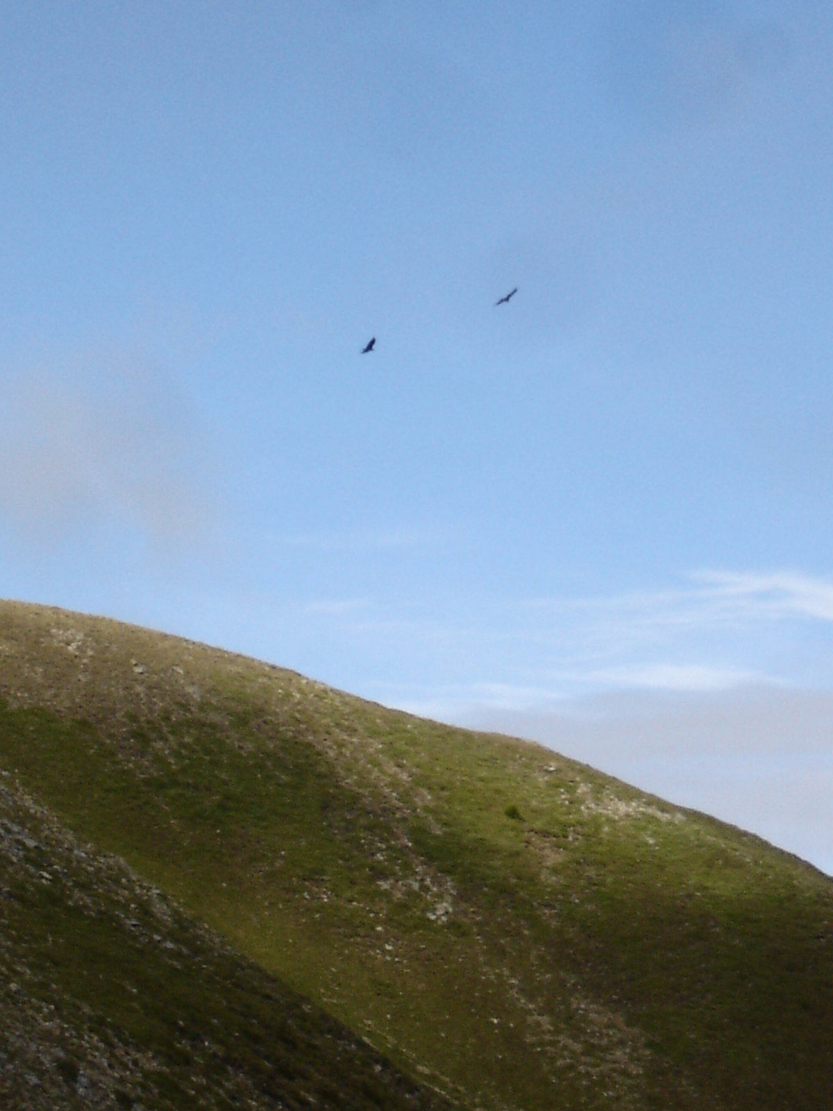 #7 Aigles : au-dessus de la tête de la Gipière Aigles : au-dessus de la tête de la Gipière