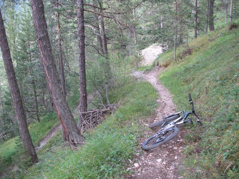 #4 voilà un sentier de descente : propre, épingles larges :) voilà un sentier de descente : propre, épingles larges :)