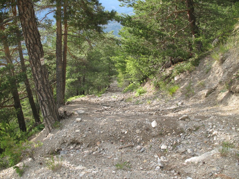 #2 piste balisée jaune : le genre de piste qu piste balisée jaune : le genre de piste qu'il ne faut pas prendre, là c'est le passage d'une conduite de source captée