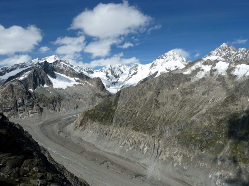 Sparrhorn : Glacier d'Oberaletsch et l'Aletschhorn