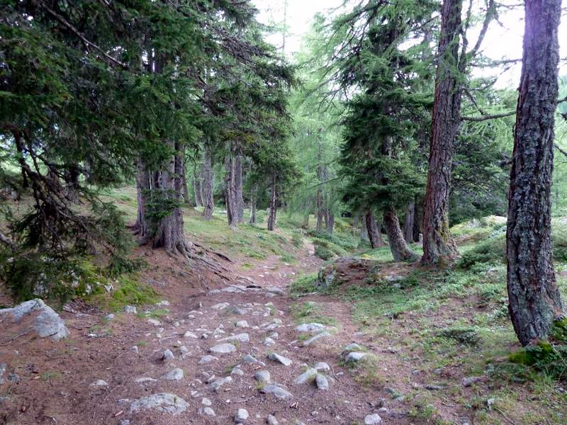 #14 Foggenhorn : Descente sur Naters, un peu cassante Foggenhorn : Descente sur Naters, un peu cassante