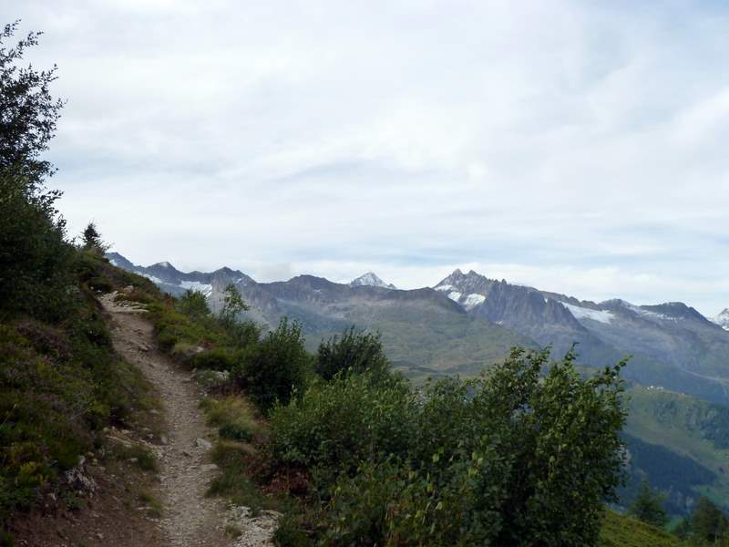 #12 Foggenhorn : Dernier point de vue sur l Foggenhorn : Dernier point de vue sur l'Aletschhorn