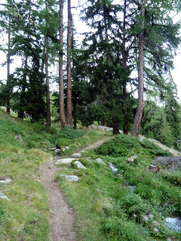 #15 Foggenhorn : Descente sur Naters, puis plus lisse Foggenhorn : Descente sur Naters, puis plus lisse