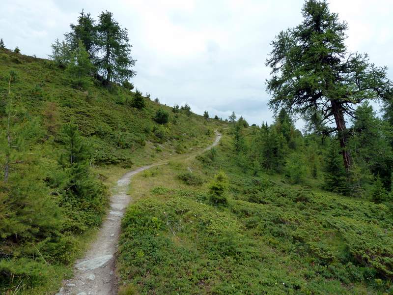 #2 Col de Cou : Descente sur Nax dans les mélèzes Col de Cou : Descente sur Nax dans les mélèzes