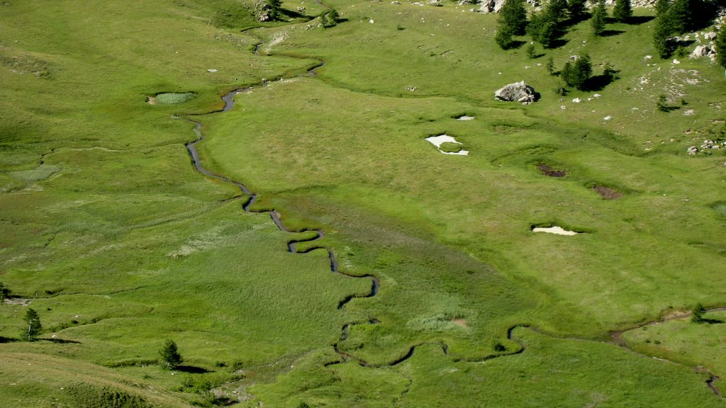 #9 Col du Lauzet : et ses podzines Col du Lauzet : et ses podzines