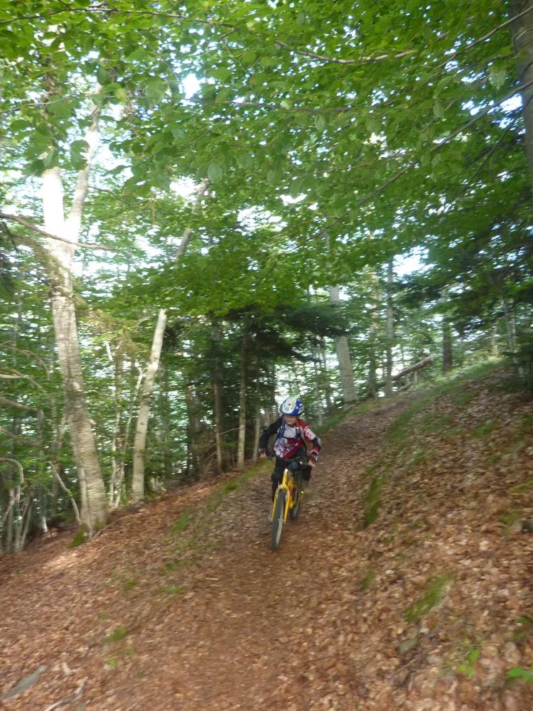 #15 Descente des feuilles mortes Descente des feuilles mortes
