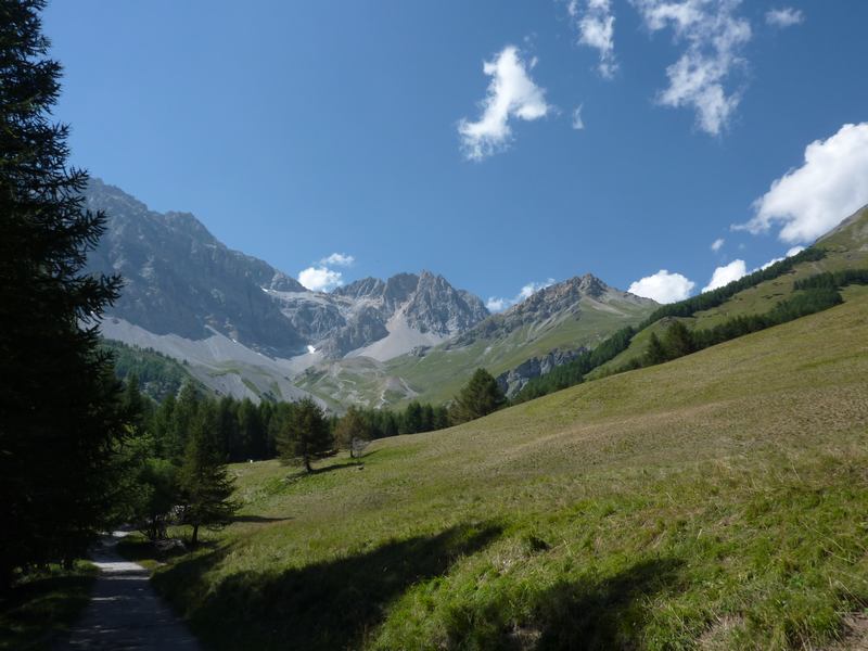 Vallon de la Roue : Longue remontée, belle forêt de mélèzes