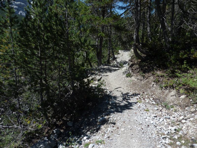 Vallée Etroite : Un bon sentier rive G