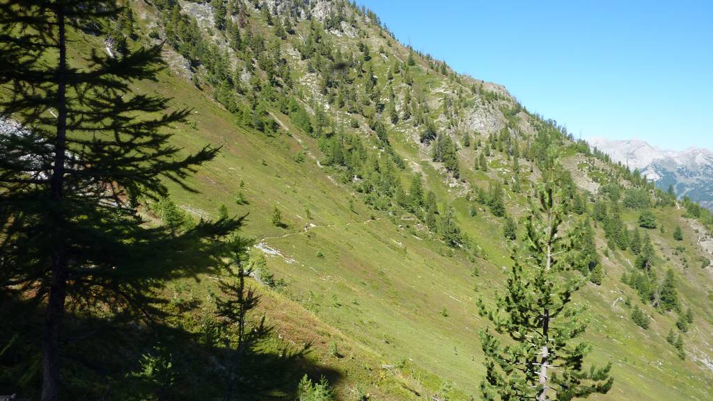 #9 Cretes de Chambrettes : le sentier balcon n Cretes de Chambrettes : le sentier balcon n'en finit plus