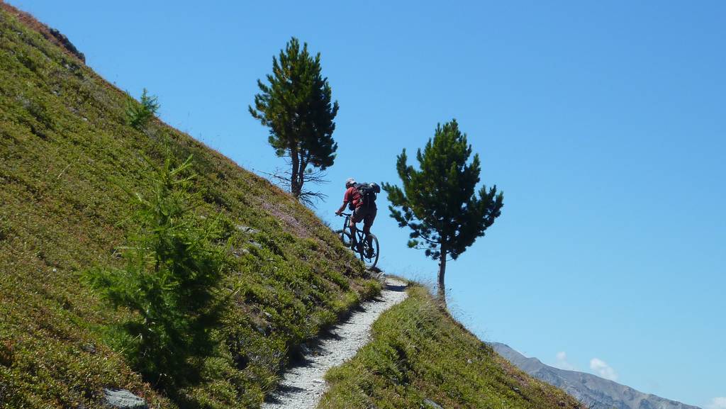 Cretes de Chambrettes : remontée versant sud, Al slalome entre les pins