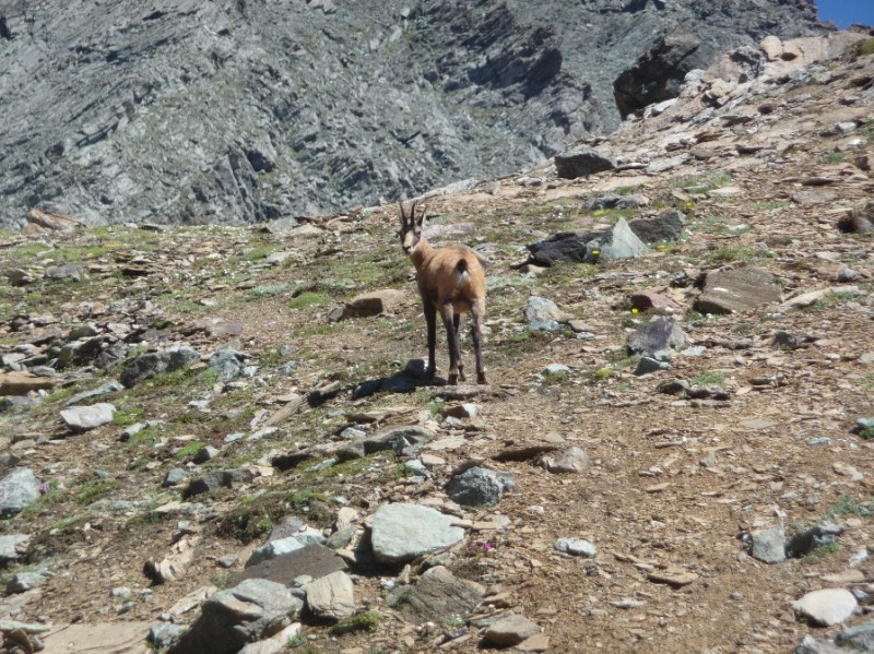 #17 Mont Taou Blanc : Oui ?? Mont Taou Blanc : Oui ??