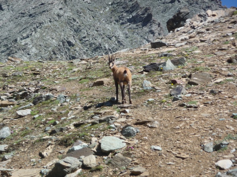 Mont Taou Blanc : Oui ??