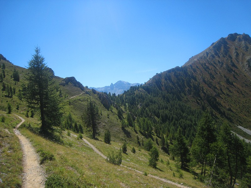 #35 col Fromage : En allant vers le col des prés fromages : Cretes des chambrettes, col fromage et Pointe de la saume. col Fromage : En allant vers le col des prés fromages : Cretes des chambrettes, col fromage et Pointe de la saume.