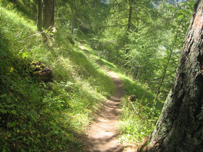#24 sentier : Le sentier qui longe l sentier : Le sentier qui longe l'Ubaye vers St Paul.